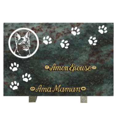 Plaque gravure chat empreinte 20x30cm