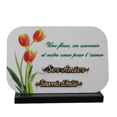 Plaque dibond rectangle arrondis 3 tulipes