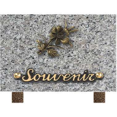 Plaque bronze fleur pensée 12x18cm