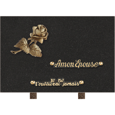 Plaque bronze rose 20x30cm