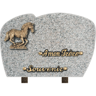 Plaque forme bronze cheval 20x30cm