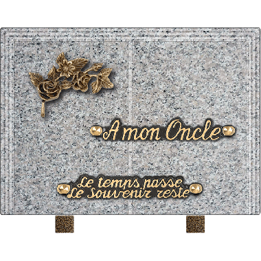 Plaque livre bronze fleurs 18x25cm