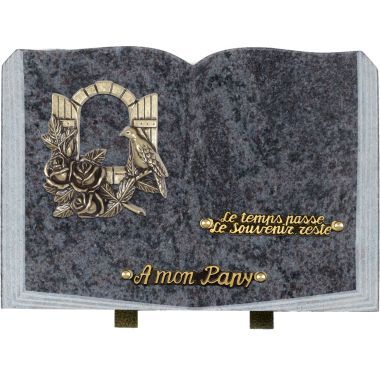 Plaque livre bronze fenêtre 25x35cm 