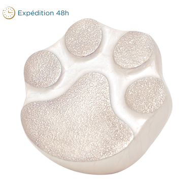Urne welvin patte blanche - chat et petit chien