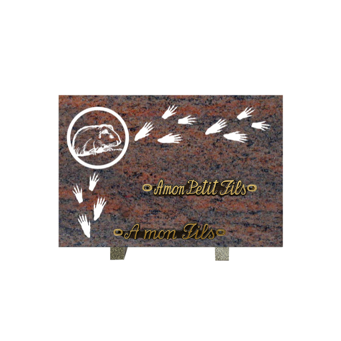 Plaque gravure rongeur empreinte 20x30cm