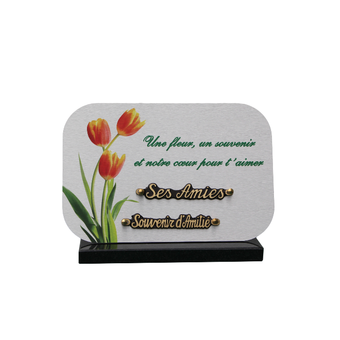 Plaque dibond rectangle arrondis 3 tulipes
