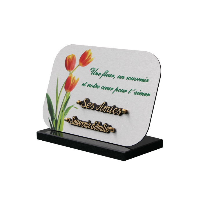 Plaque dibond rectangle arrondis 3 tulipes