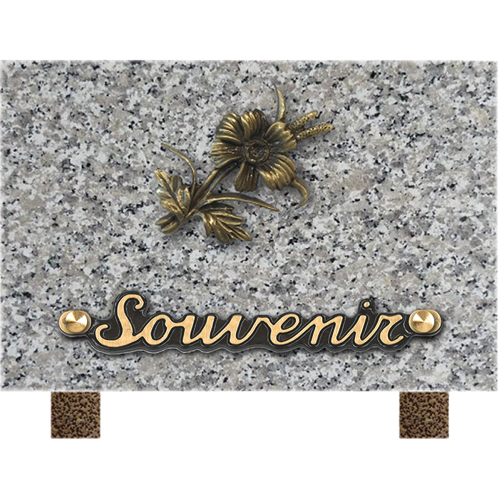 Plaque bronze fleur pensée 12x18cm