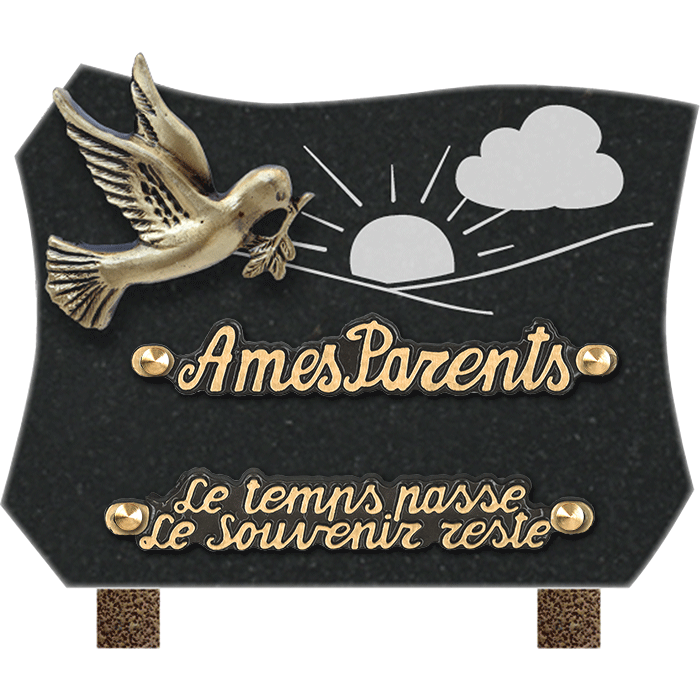 Plaque forme bronze colombe gravure soleil 15x20cm