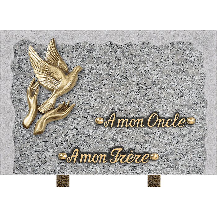 Plaque bords bruts bronze mains colombe 20x30cm