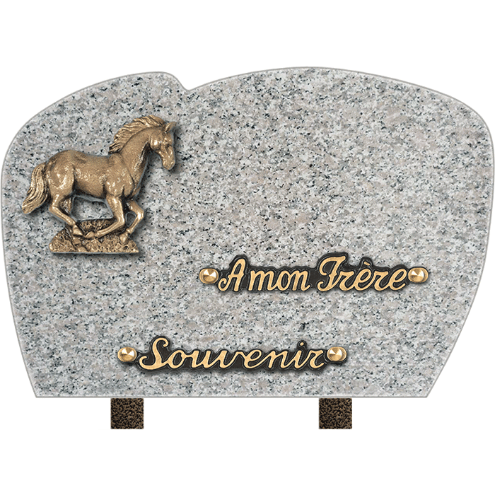 Plaque forme bronze cheval 20x30cm