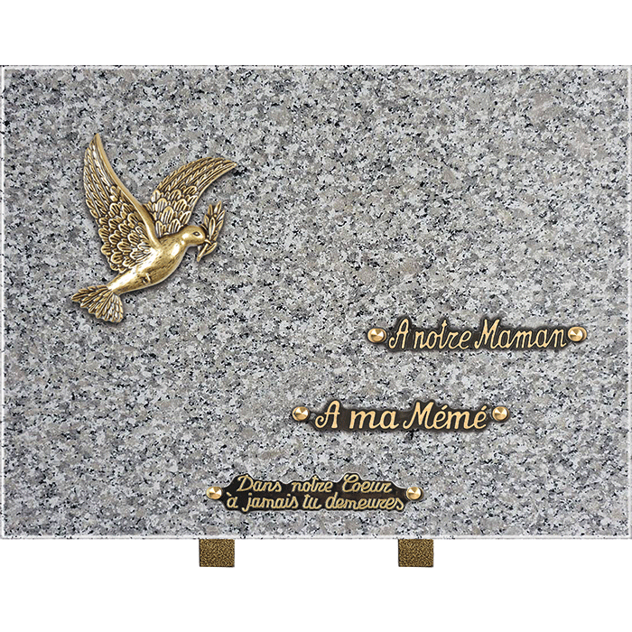 Plaque bronze colombe 30x40cm