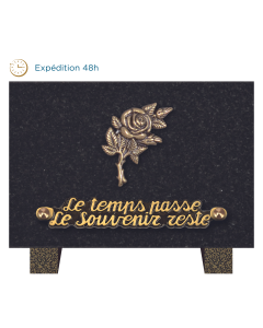 Plaque bronze tige rose 12x18cm