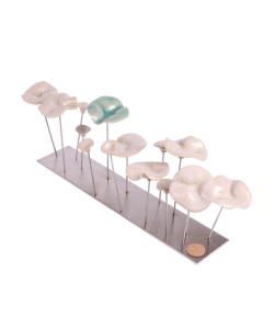 Champs de fleur - Terre &Tonique 45x15x15cm