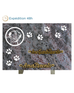 Plaque gravure chien empreinte2 20x30cm