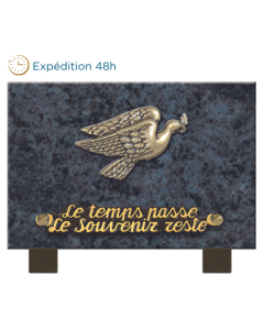 plaque bronze colombe feuillage 12x18cm