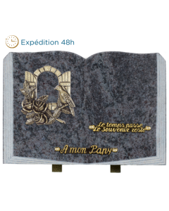 Plaque livre bronze fenêtre 25x35cm
