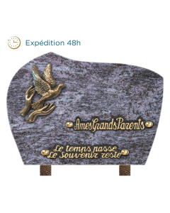Plaque forme bronze mains colombe 18x25cm