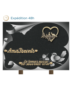 Plaque gravure oiseau bronze coeur colombes 20x30cm