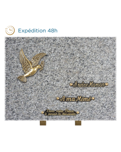 Plaque bronze colombe 30x40cm