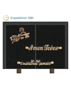 Plaque livre bronze clé 18x25cm