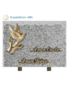 Plaque bords bruts bronze mains colombe 20x30cm