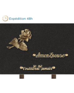 Plaque bronze rose 20x30cm