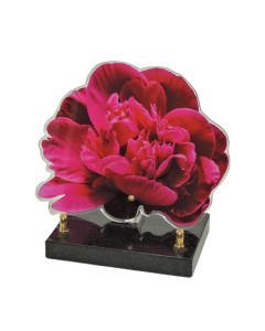 Plaque plexiglas pivoine 20x20cm