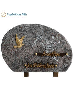 Plaque ronde gravure village bronze colombe 20x30cm