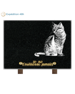Plaque rectangle silhouette chat 25x18cm