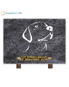 Plaque rectangle motif chien 25x18cm