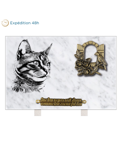 Plaque rectangle bronze fenêtre et chat 30x20cm
