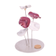 Rond 5 fleurs - Douceur scintillante 16x25cm vue 1