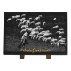 Plaque rectangle photogravure troupeau de moutons et berger 30x20cm vue 1