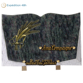 Plaque livre bronze épi de blé 20x30cm