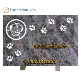 Plaque gravure chien empreinte2 20x30cm