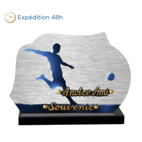 Plaque dibond forme football