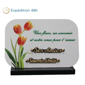 Plaque dibond rectangle arrondis 3 tulipes