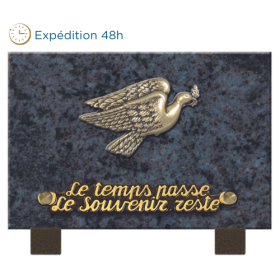 plaque bronze colombe feuillage 12x18cm
