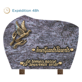 Plaque forme bronze mains colombe 18x25cm