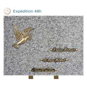Plaque bronze colombe 30x40cm