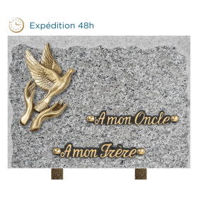 Plaque bords bruts bronze mains colombe 20x30cm