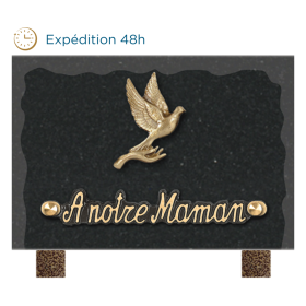 Plaque bords bruts bronze main colombe 12x18cm