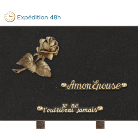 Plaque bronze rose 20x30cm