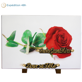 Plaque imprimée rose 20x30cm