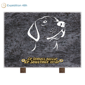 Plaque rectangle motif chien 25x18cm  