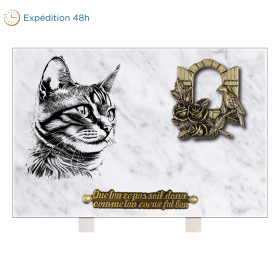  Plaque rectangle bronze fenêtre et chat 30x20cm