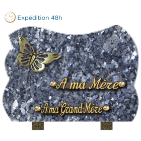 Plaque forme bronze papillon 18x25cm