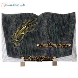 Plaque livre bronze épi de blé 20x30cm