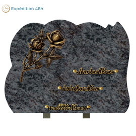 Plaque forme bronze roses 30x40cm
